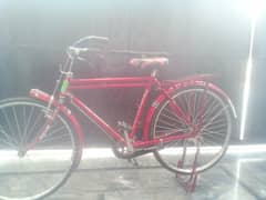 cycle