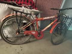 Jaguar Cycle