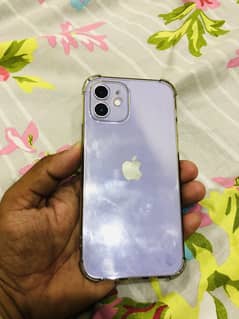 IPhone 12 (pta approved)