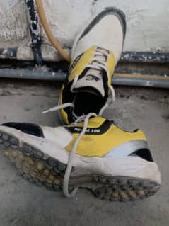 cricket griper