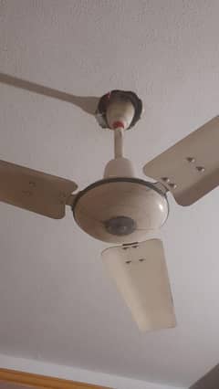 ceiling