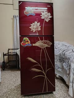 Fridge/Refrigerator