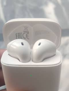 Earbuds