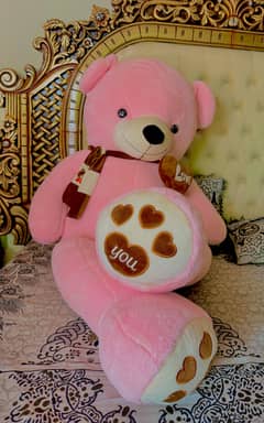 Big Size Teddy