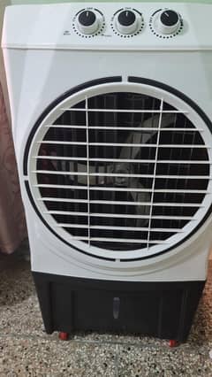 Ac/DC cooler