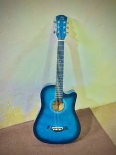 Guitar Musical instrument