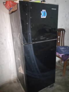medium firdge glass door