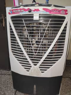 venus company room cooler lahori