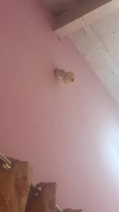 camera new condition