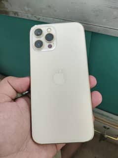 12 pro max