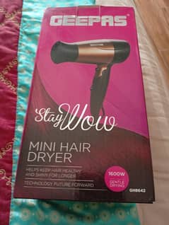 Hair Dryer