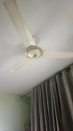 ceiling