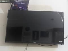 Orient LED 43'Inch