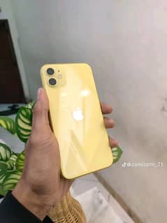 nonpta iPhone 11  What's up number 03115572876