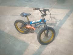 branded bycyle 03000414134