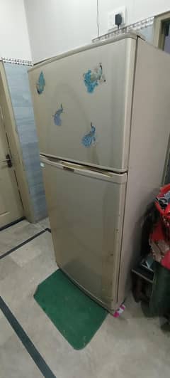 dowlanc fridge full size