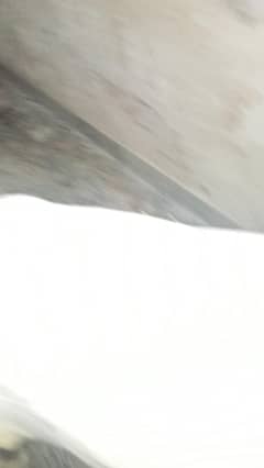 FB