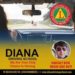 Driving instructors or drivers