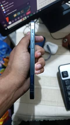 12pro