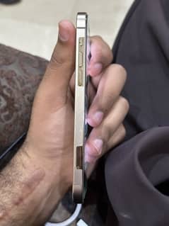 Iphone 12 pro