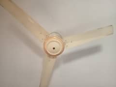 selling fan phone number 03145322710