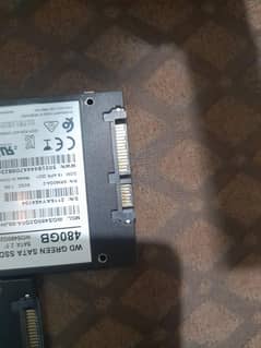 wd ssd