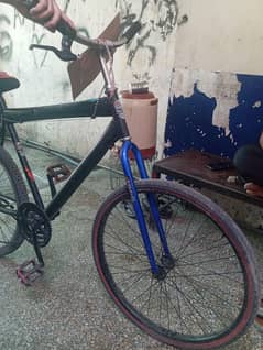 Cycle