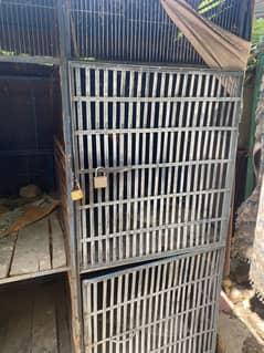 Huge hen cage