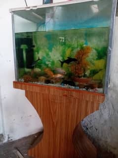 aquarium