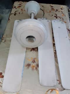 Celling fan for sale all ok condition