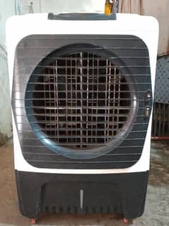 Plastic Cooler