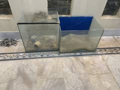 Aquariums For Sale