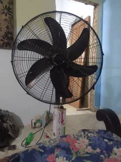 Pedestal fan