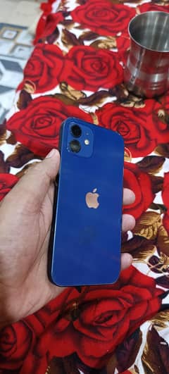 iphone 12 jv