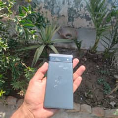 Google pixel 6a
