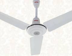 royal ceiling fan
