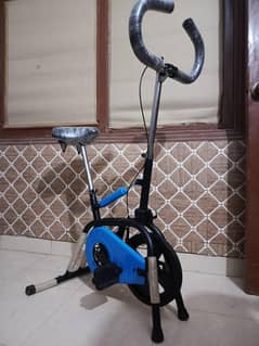 Exercise Cycle 2 In 1
