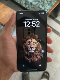 11 pro max 256 GB