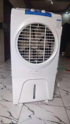 Air