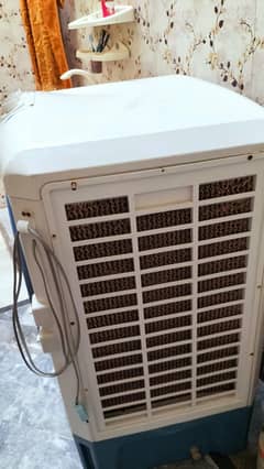 pak diamond air cooler
