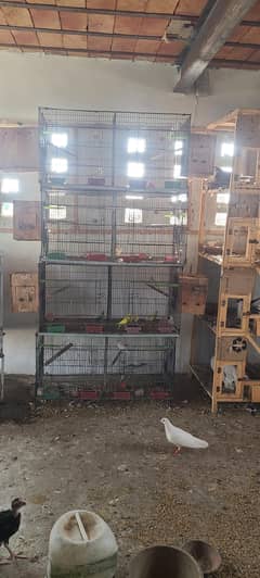 8 Portion Folding Cage with pots