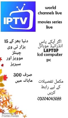 Settlite