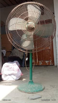 pedestal fan