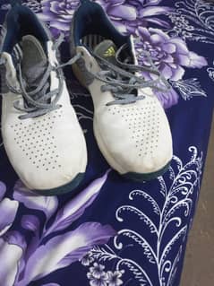 gripper shoes