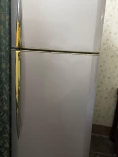 PEL FRIDGE For SALE