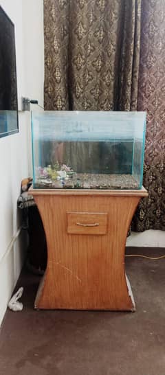 fish aquarium for sale