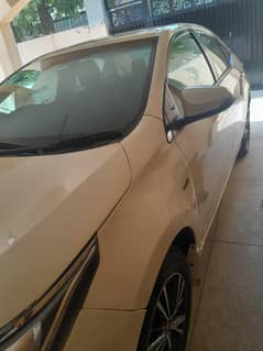 corolla