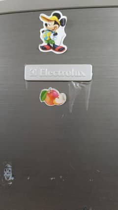 Electrolux full size