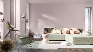 Painter Service Provider  and polisher