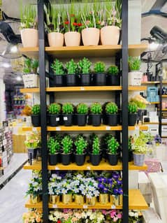 Find pretty plants at @decorbyhappy store that stay beautiful all yea